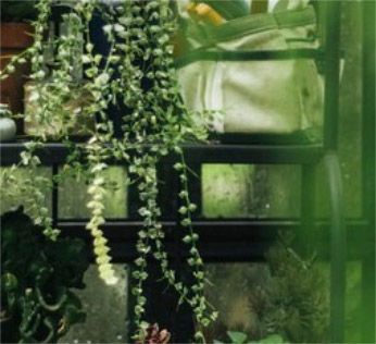 خمس طرق لبناء تجربة ممتازة للعملا